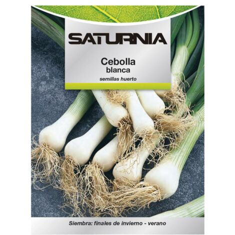 semillas cebolla blanca (4 gramos) semillas verduras, horticultura, horticola, semillas huerto.