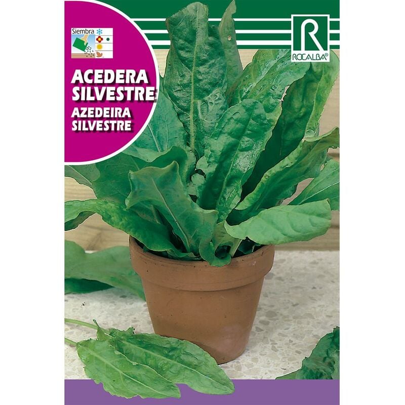 

Semillas de Acedera silvestre