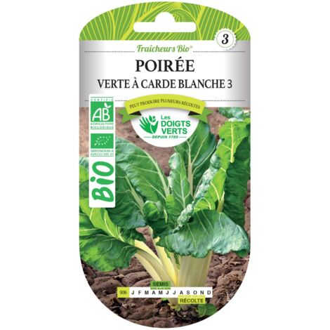 Semillas de acelga verde con tallos blancos BIO Los Dedos Verdes