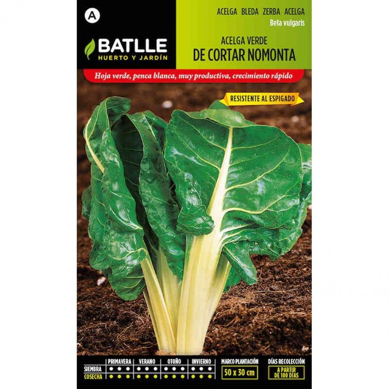 

Plantawa Semillas de Acelga Verde de Cortar Nomonta 10 gr para Siembra Anual Hortaliza para Cultivar - Battle