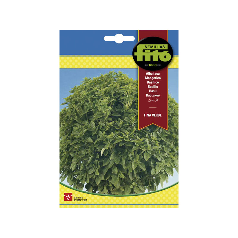 

Plantawa Semillas de Albahaca Basil Fina Verde 4 gr para Siembra Primavera Planta Aromática para Cultivar - Fitó