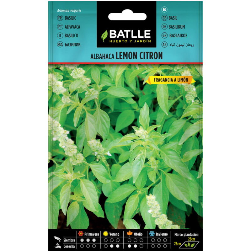 

Semillas de Albahaca Lemon Citron