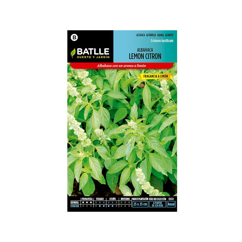

Plantawa Semillas de Albahaca Lemon Citron 1.25 gr para Siembra en Primavera Planta Aromática para Cultivar - Battle