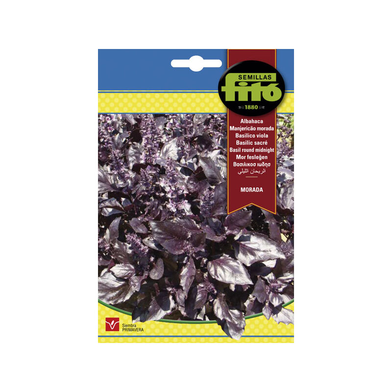 

Plantawa Semillas de Albahaca Morada 4 gr para Siembra Primavera Planta Aromática para Cultivar - Fitó