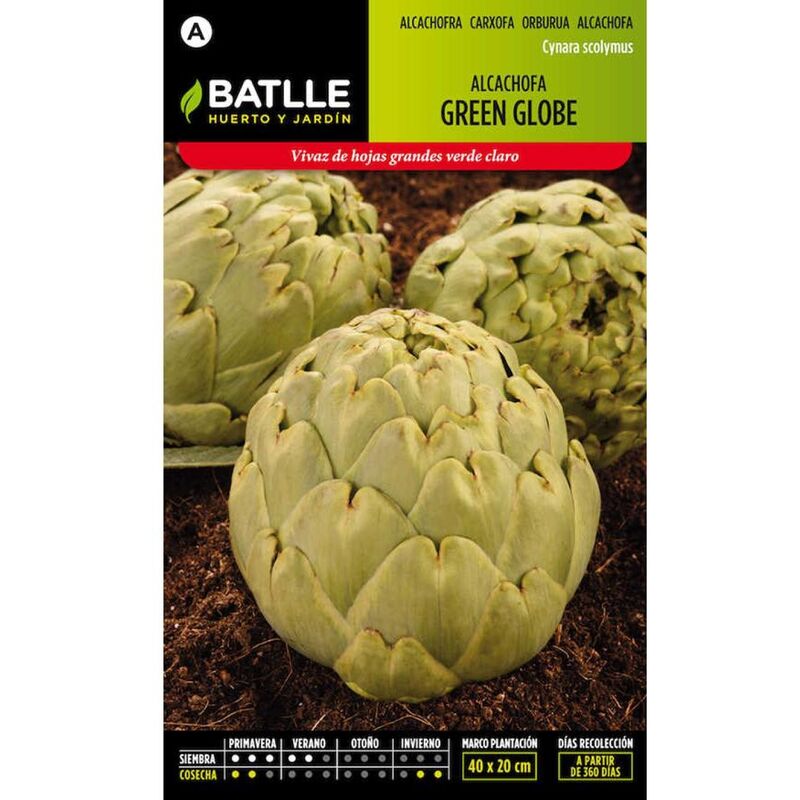 

Plantawa Semillas de Alcachofa Green Globe 2 gr para Siembra Primavera Hortaliza para Cultivar - Battle