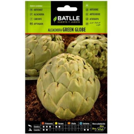 Semillas de Alcachofa Green Globe