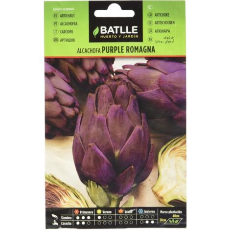 Semillas de Alcachofa Purple Romagna