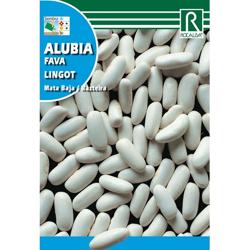 

Semillas de Alubia lingot