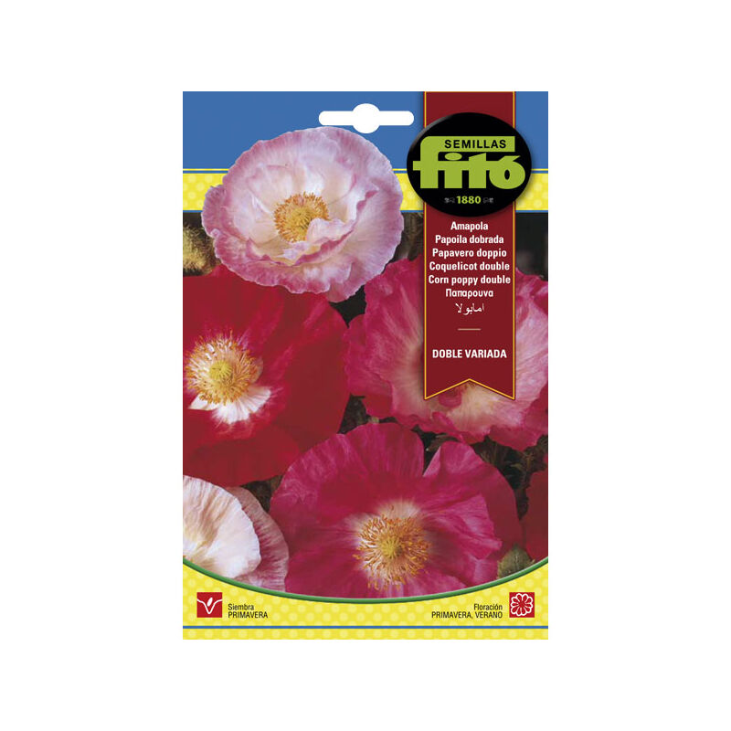 

Plantawa Semillas de Amapola Corn Poppy para Siembra Primavera Verano Flor para Cultivar - Fitó