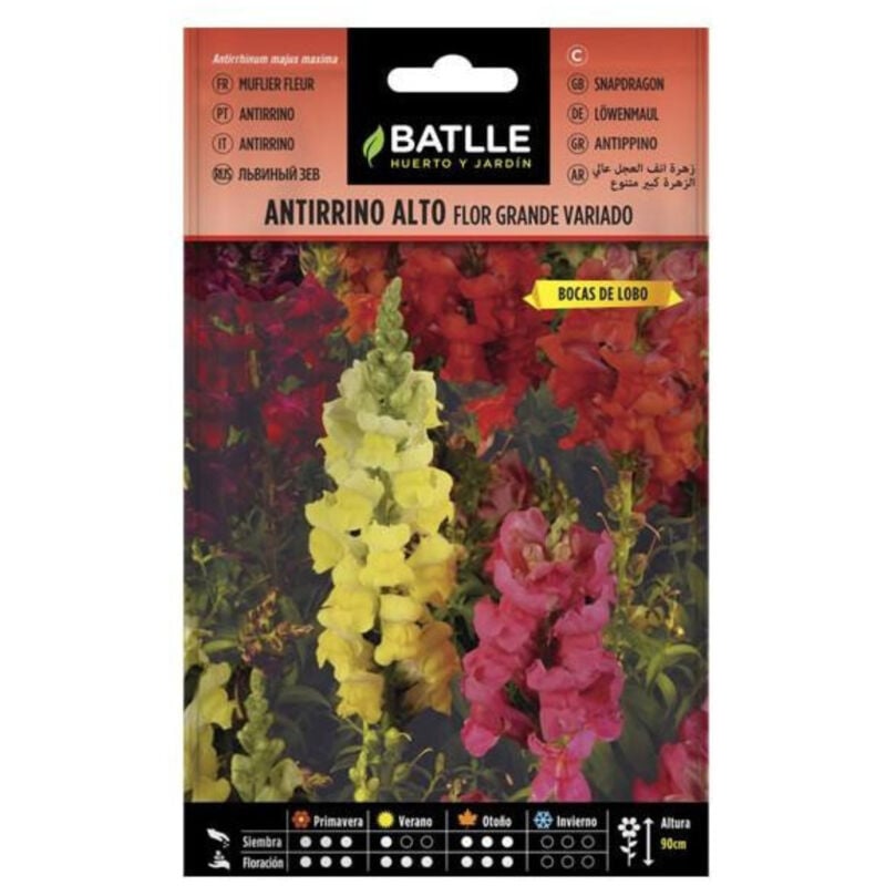 

Semillas de Antirrino alto flor grande