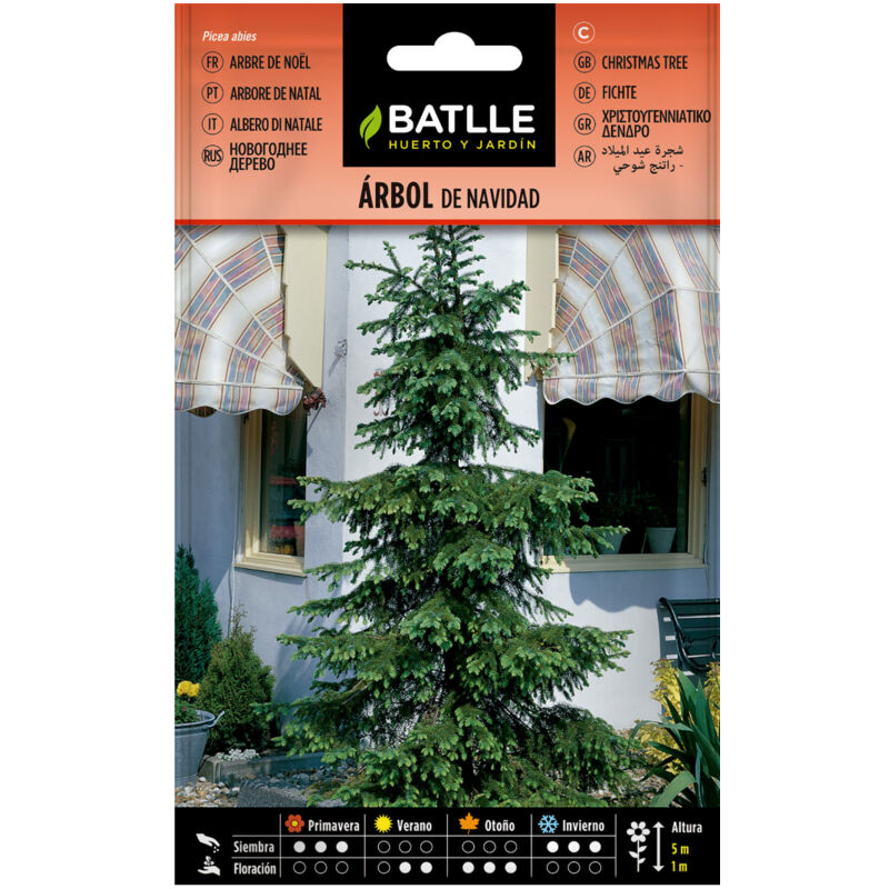 

Semillas de Árbol de Navidad