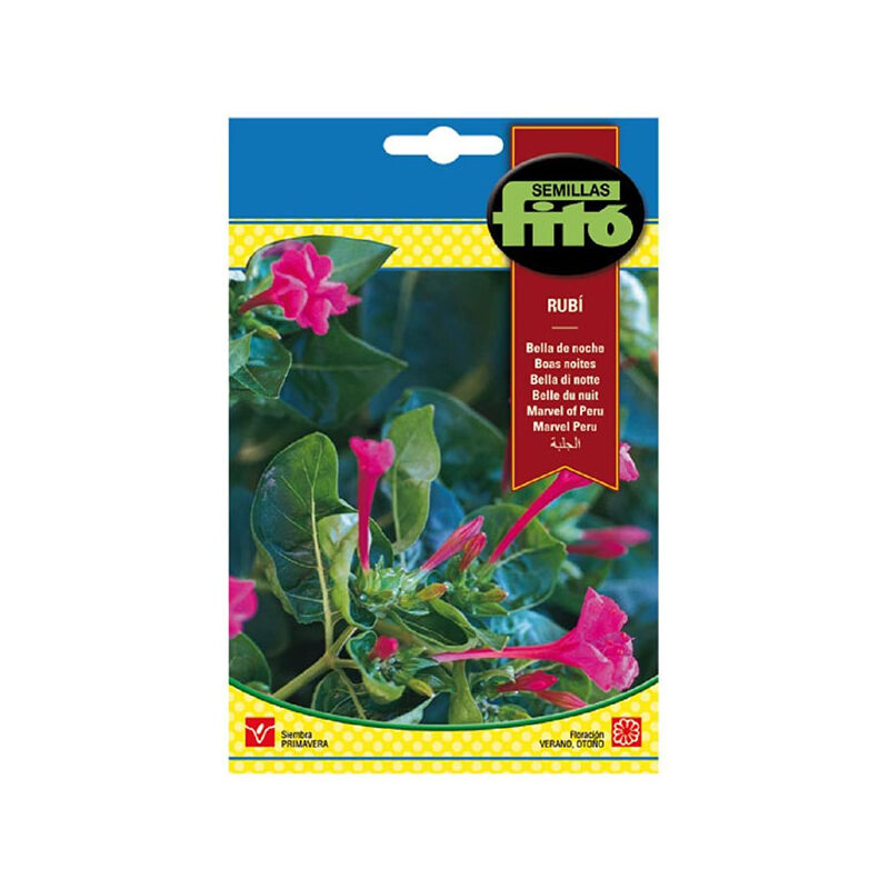 

Plantawa Semillas de Bella de Noche para Siembra Primavera ciclo vivaz Flor para Cultivar - Fitó