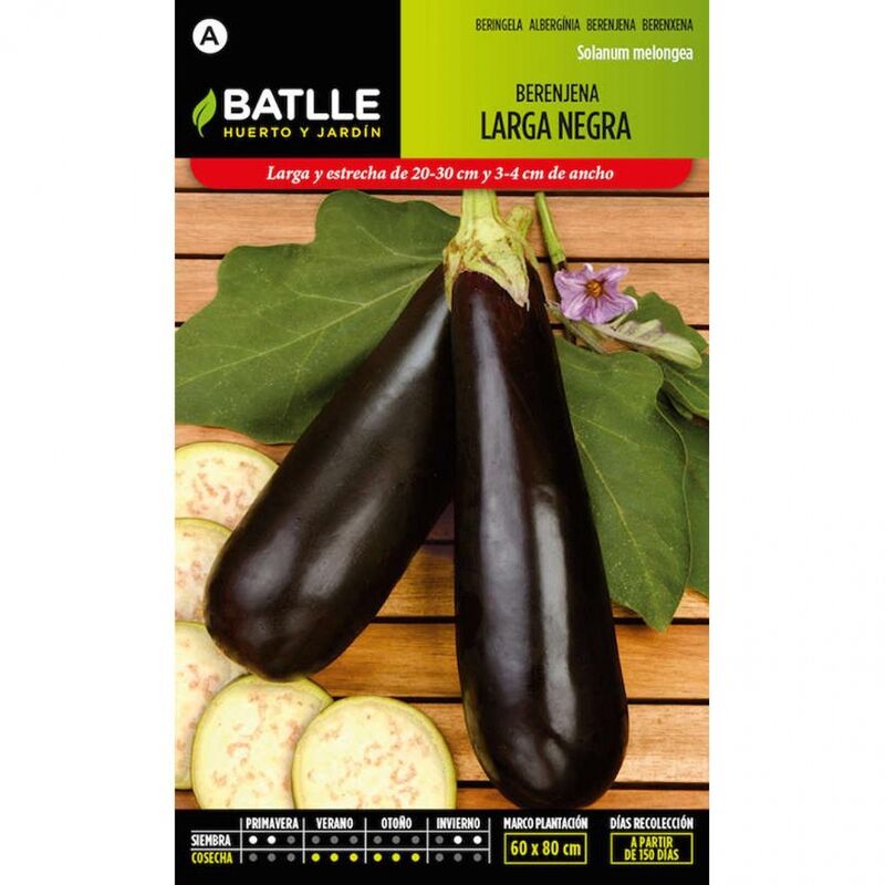 

Plantawa Semillas de Berenjena Larga Negra 4 gr para Siembra Invierno Hortaliza para Cultivar - Battle