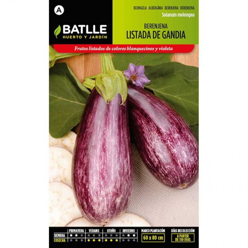 

Plantawa Semillas de Berenjena Listada de Gandía 2 gr para Siembra Primavera Invierno Hortaliza para Cultivar - Battle