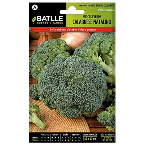 Semillas de Brócoli Verde Calabrese sobre