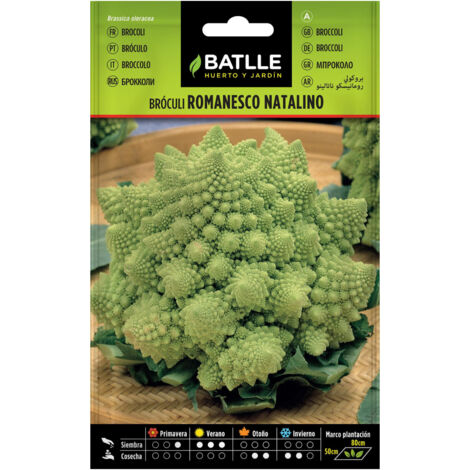 Semillas de Bróculi Romanesco Natalino