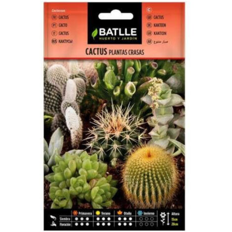 Semillas de Cactus Plantas Crasas variadas