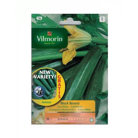 Semillas de CALABACIN BLACK BEAUTY Vilmorin 7g