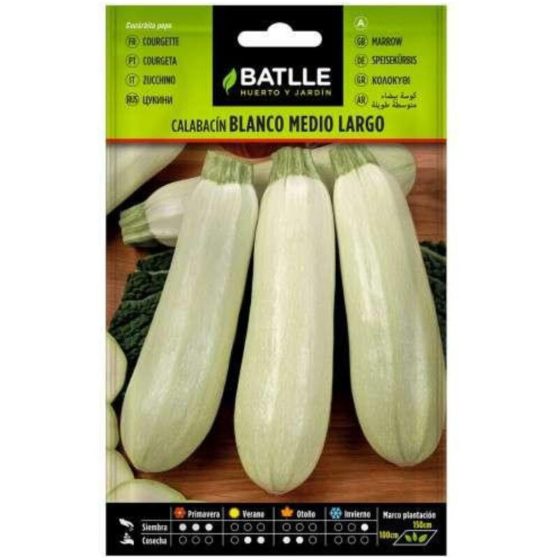 

Semillas de Calabacín blanco medio largo
