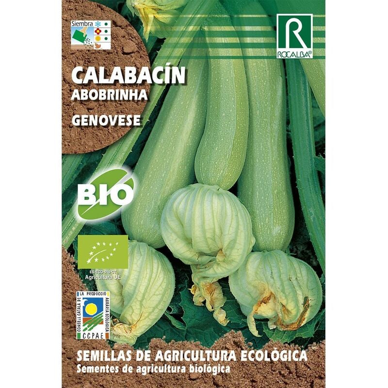 

Semillas de calabacin genovese