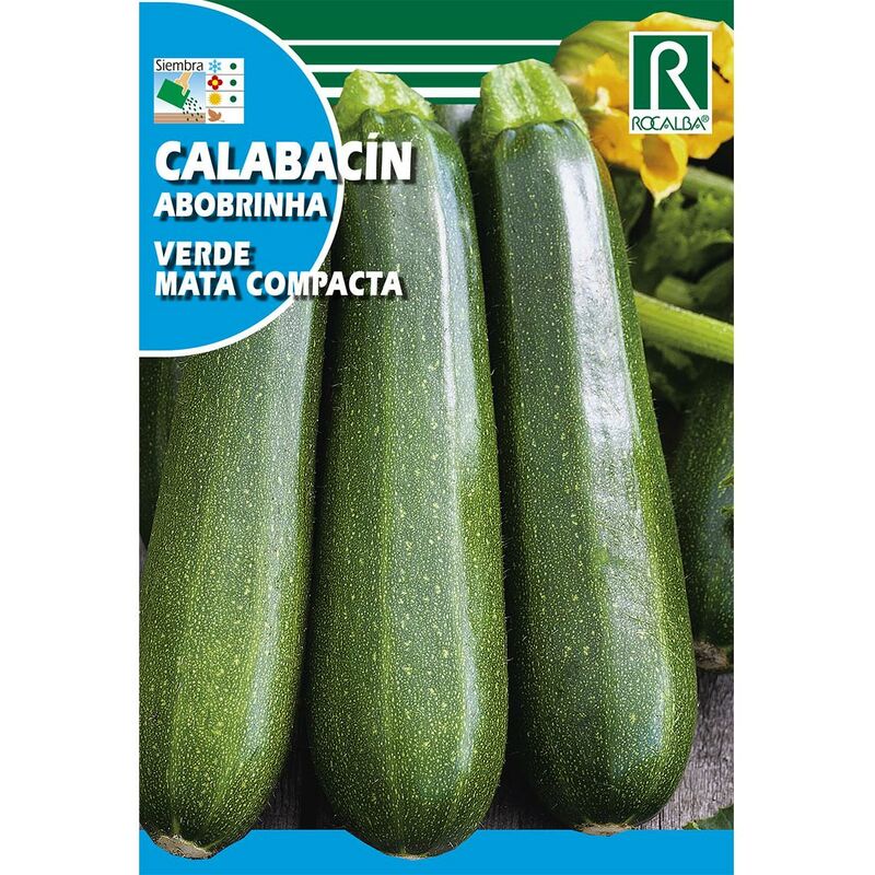 

Semillas de Calabacín verde mata compacta