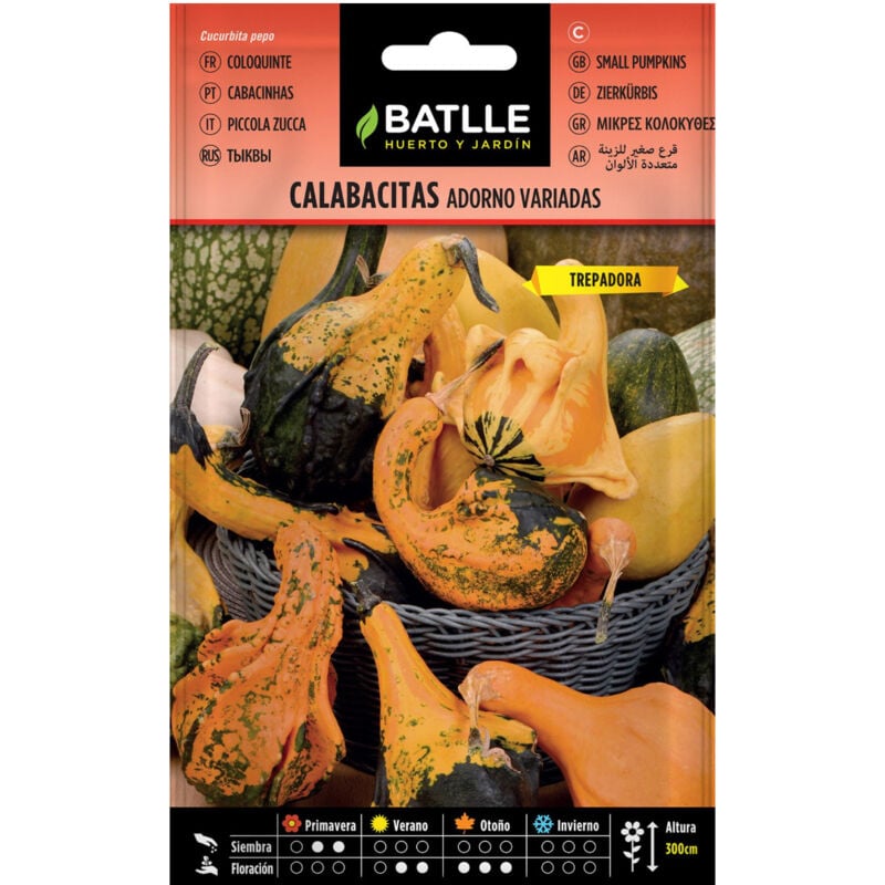 

Semillas de Calabacitas adorno