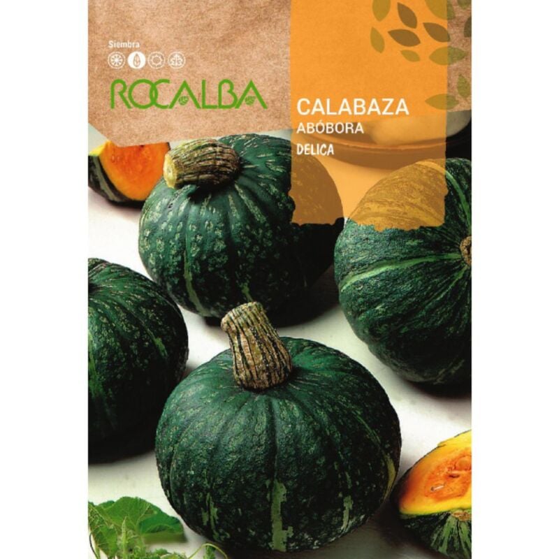 

Semillas de Calabaza delica