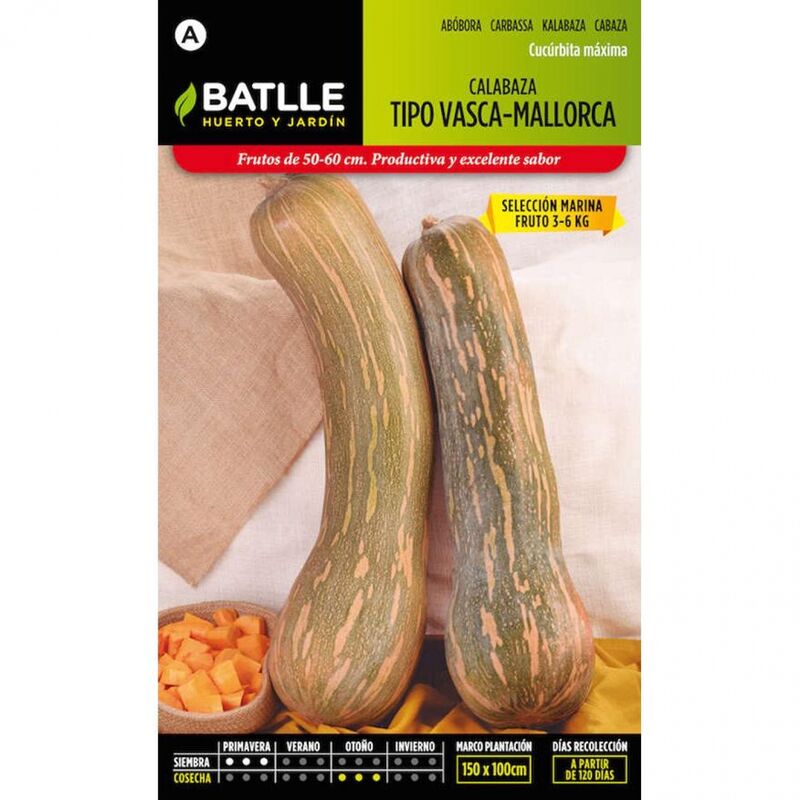 

Plantawa Semillas de Calabaza Vasca Mallorca 6 gr para Siembra Primavera Hortaliza para Cultivar - Battle