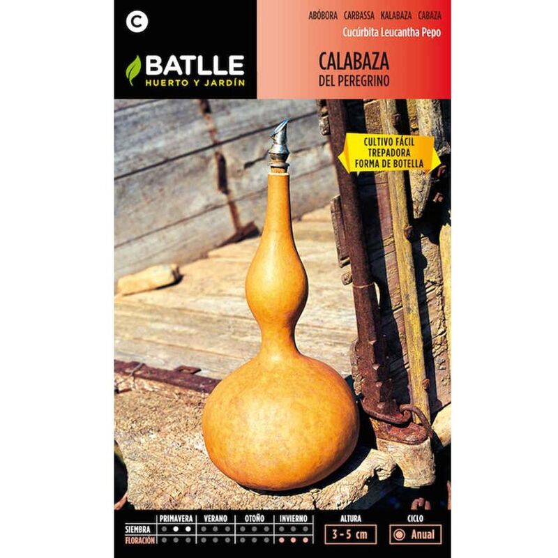 

Plantawa Semillas de Calabaza de Peregrino 4 gr para Siembra Anual Hortaliza para Cultivar - Battle