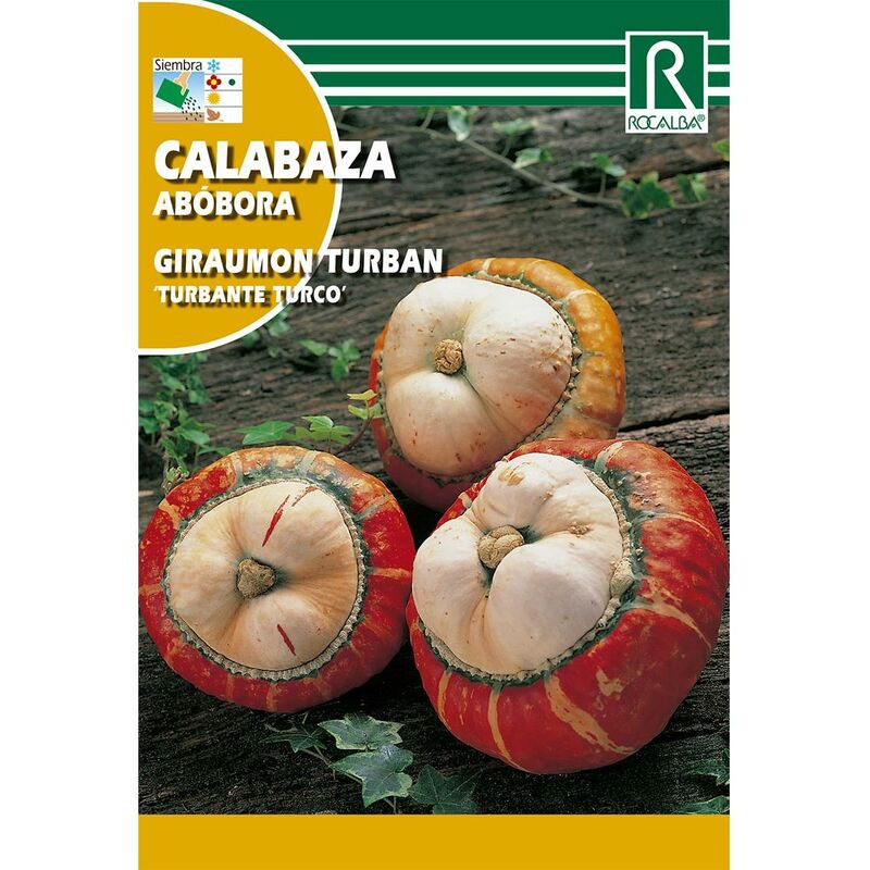 

Semillas de Calabaza giraumont turbanturbante turco