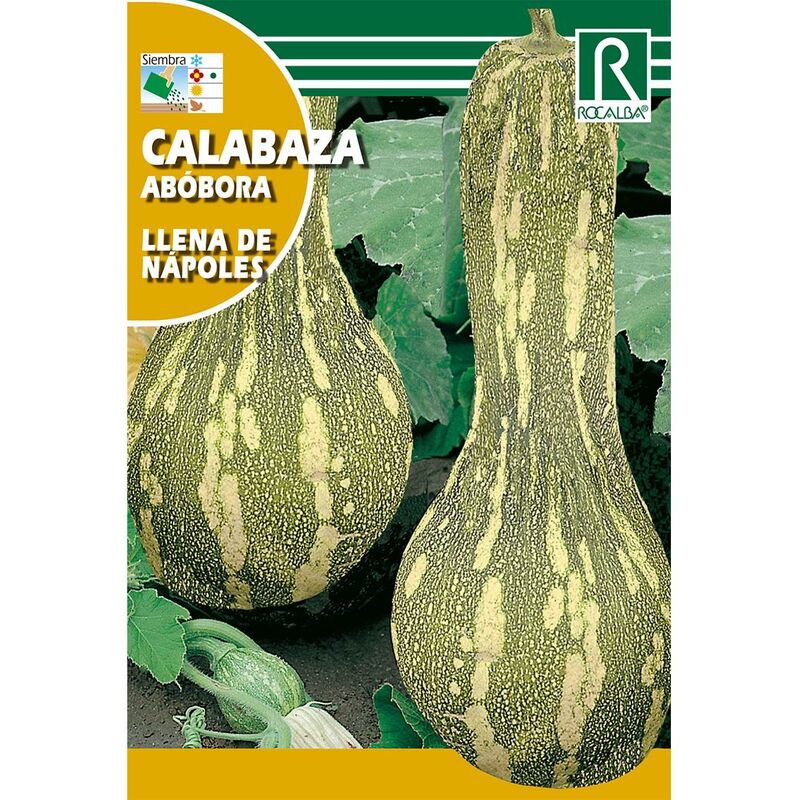 

Semillas de Calabaza llena de Nápoles