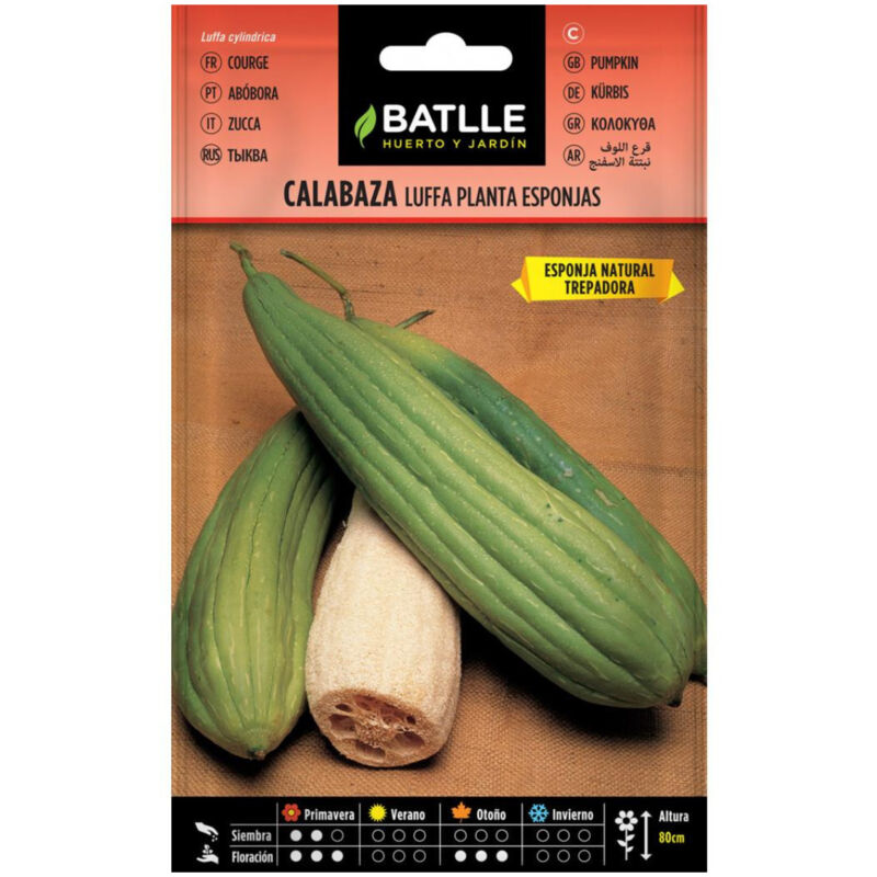 

Semillas de Calabaza Luffa