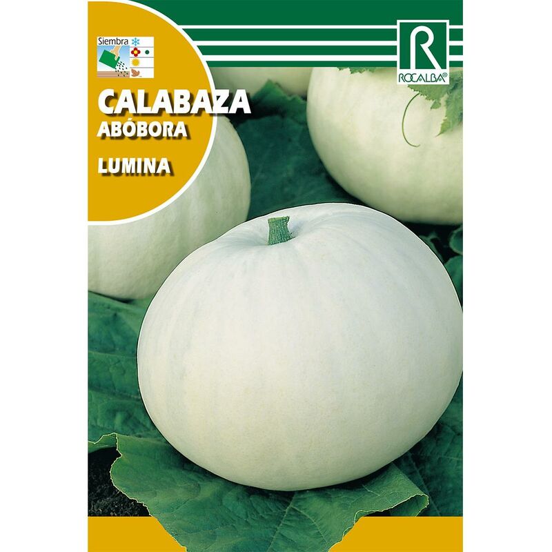 

Semillas de Calabaza lumina
