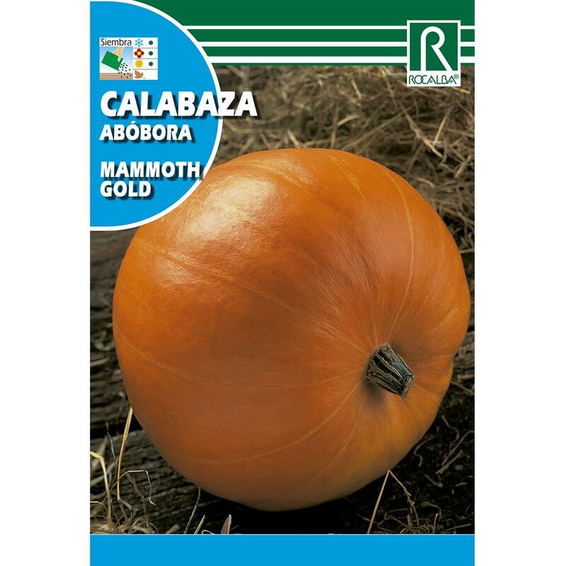 

Semillas de Calabaza mammoth gold