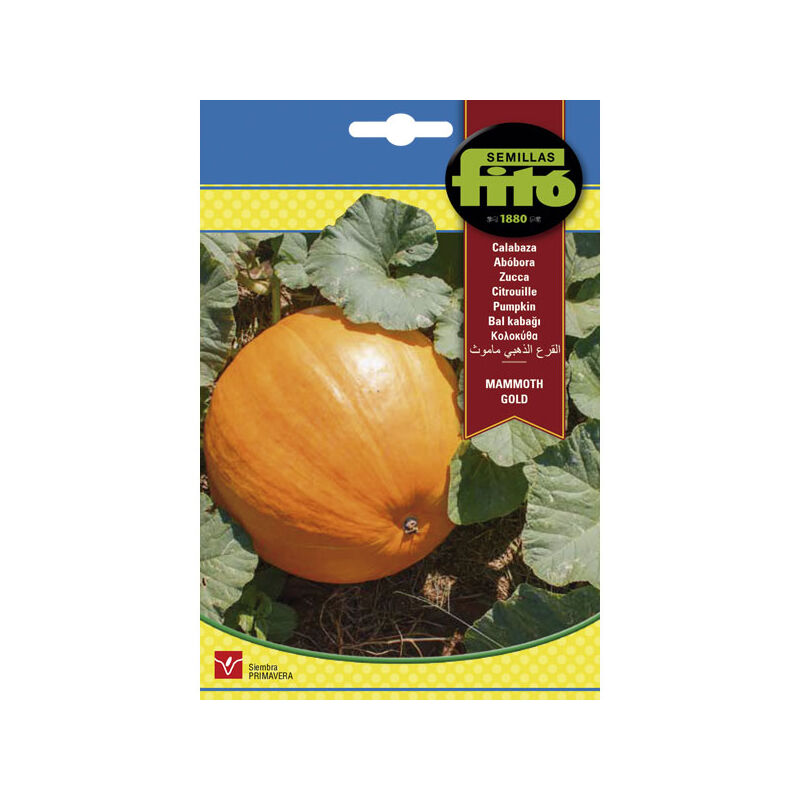 

Plantawa Semillas de Calabaza Mammoth Gold 6 gr para Siembra Primavera Hortaliza para Cultivar - Fitó