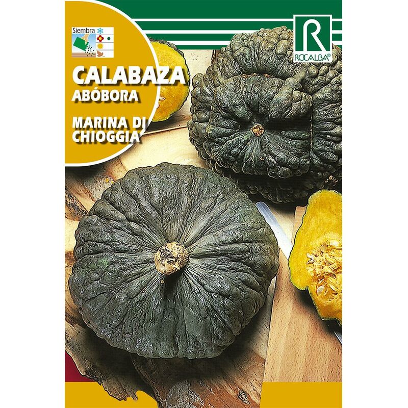 

Semillas de Calabaza marina di chioggia