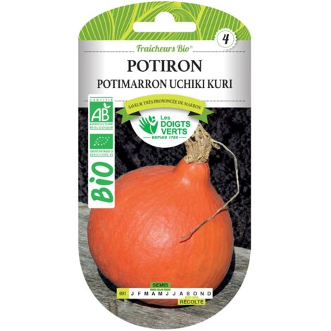 Semillas de calabaza potimarron Uchiki Kuri BIO Los Dedos Verdes