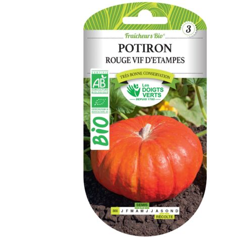 Semillas de calabaza roja brillante de Étampes BIO Los Dedos Verdes