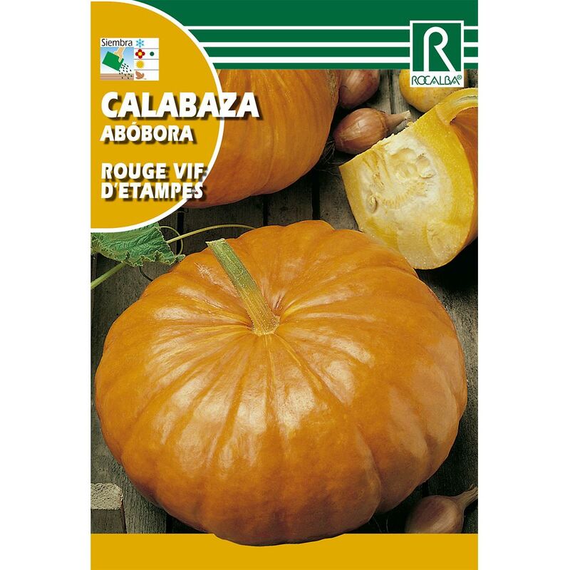 

Semillas de Calabaza rouge vif d'etampes