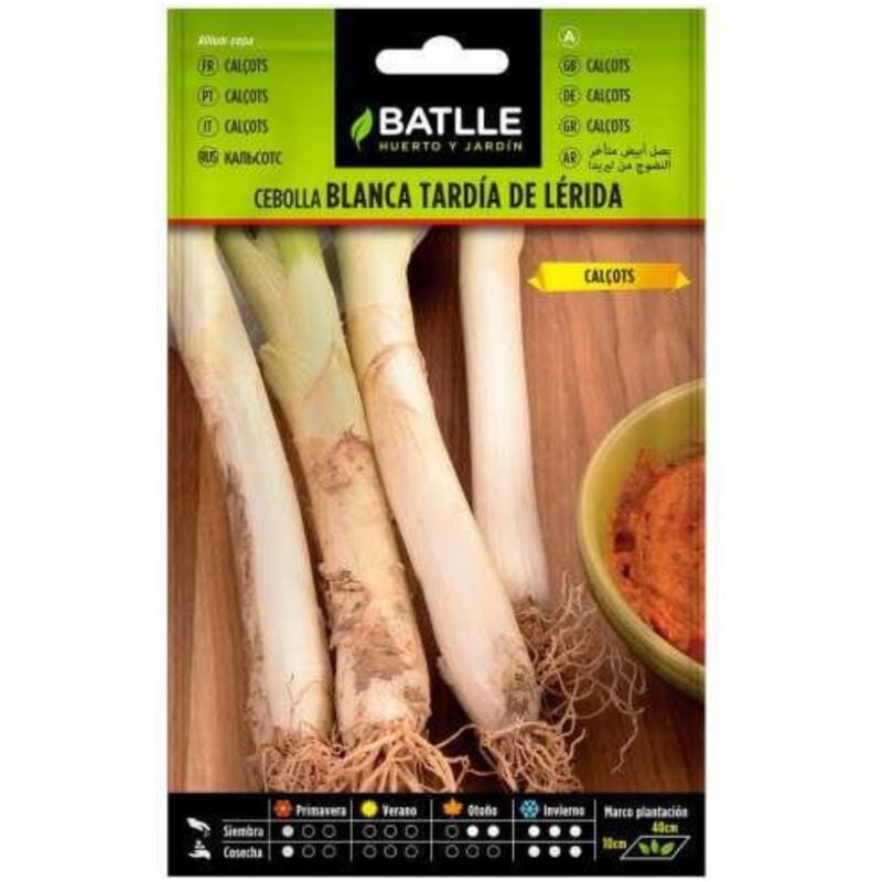 

Semillas de Calçots - Cebolla blanca tardia de Lérida
