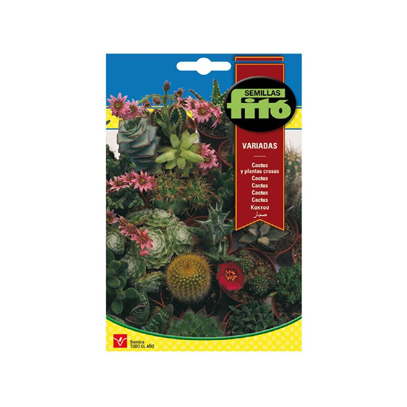 

Plantawa Semillas de Cactus y Plantas Crasas para Siembra Anual ciclo vivaz Suculentas para Cultivar - Fitó