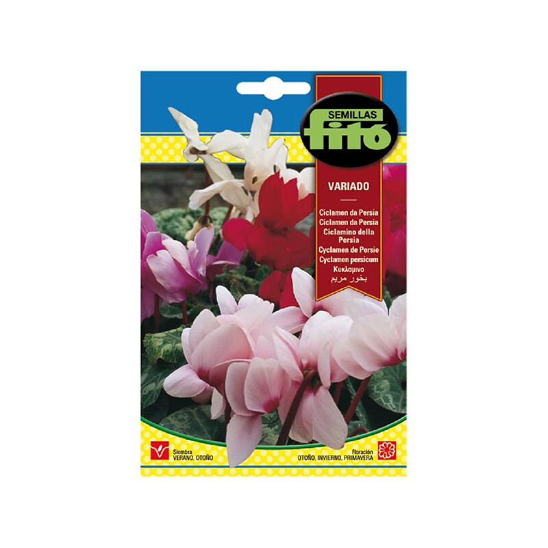 

Plantawa Semillas de Cyclamen de Persia 2 gr para Siembra Verano Otoño ideal para Decoración Flor para Cultivar - Fitó