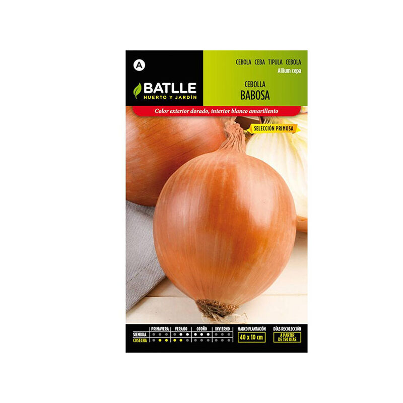 

Plantawa Semillas de Cebolla Babosa Primosa 4 gr para Siembra Verano Otoño Hortaliza para Cultivar - Battle
