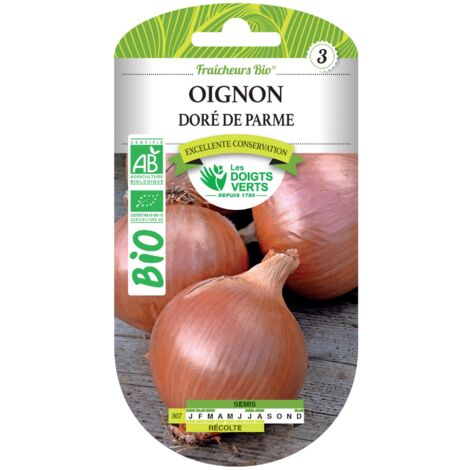 Semillas de cebolla dorada de Parma BIO Los Dedos Verdes