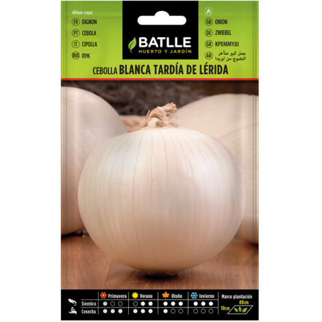 Semillas de Cebolla grande tardía de Lérida Batlle