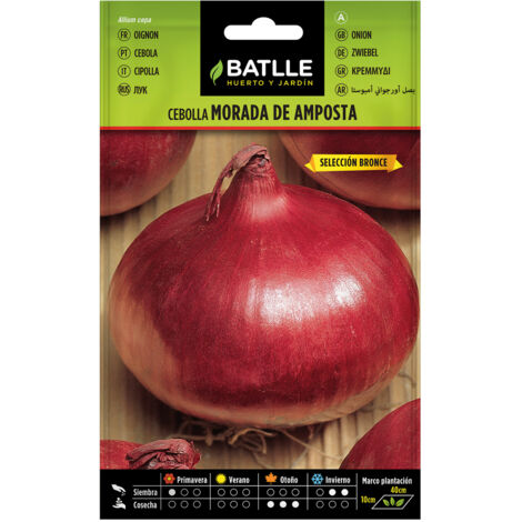 Semillas de Cebolla morada de Amposta sel. Bronce