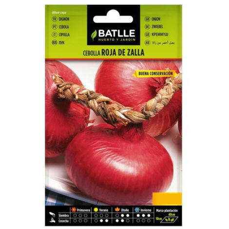 Semillas De Cebolla Roja De Zalla