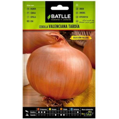 Semillas de Cebolla valenciana tardía sel. Fallera