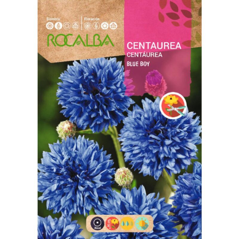 

Semillas de Centaurea blue boy, azul
