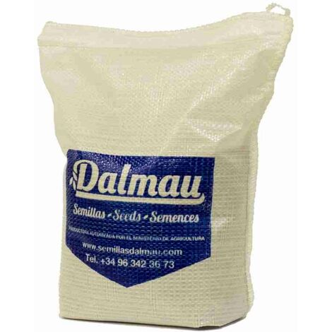 Semillas de Césped  777 CTD- 1 kg
